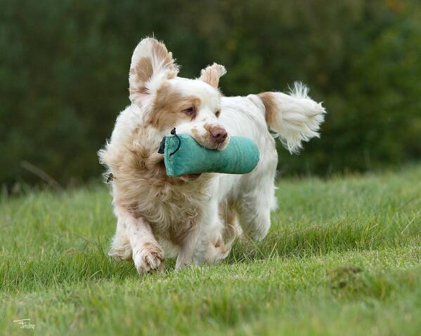 Storm © Farlap Storm © Farlap